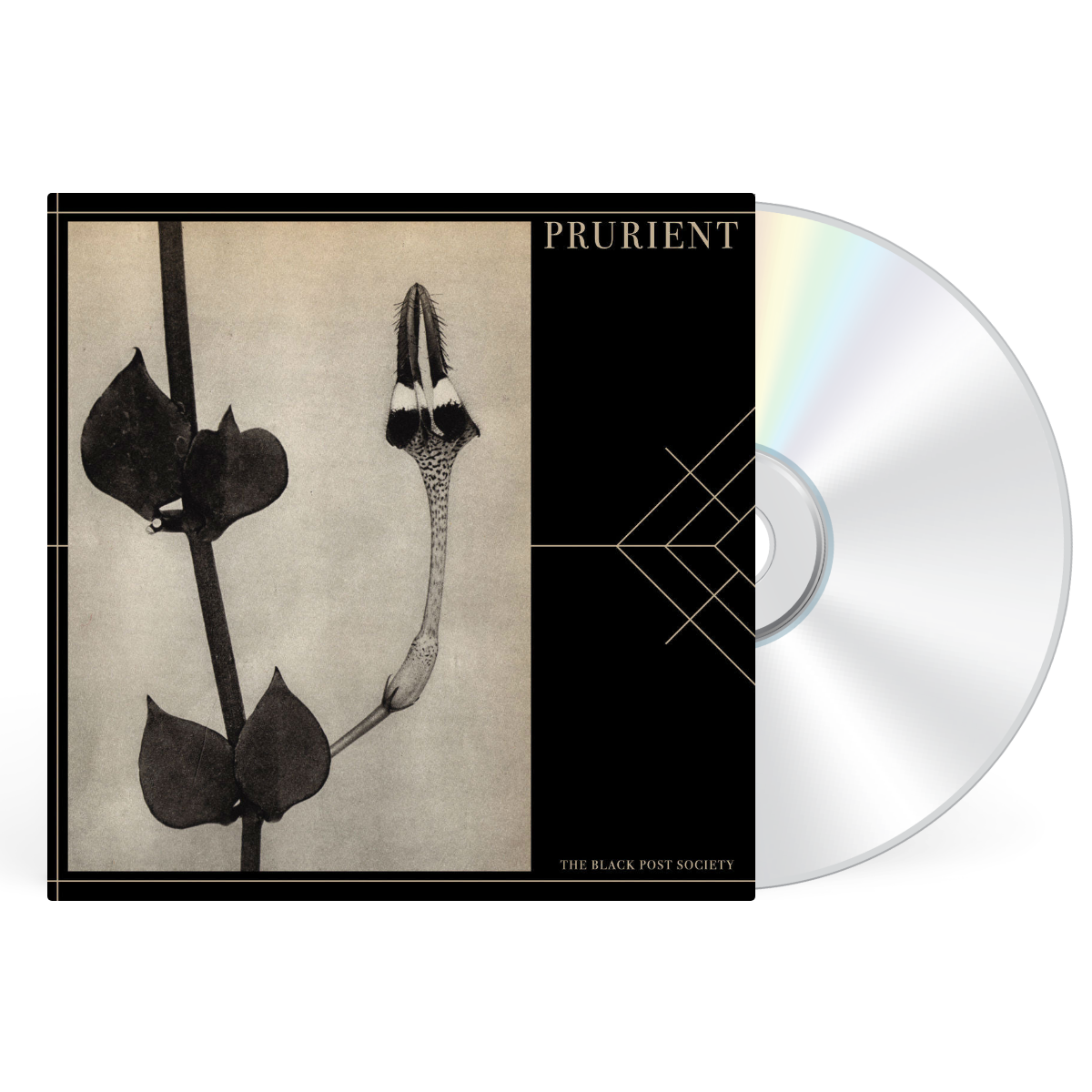 CD artwork