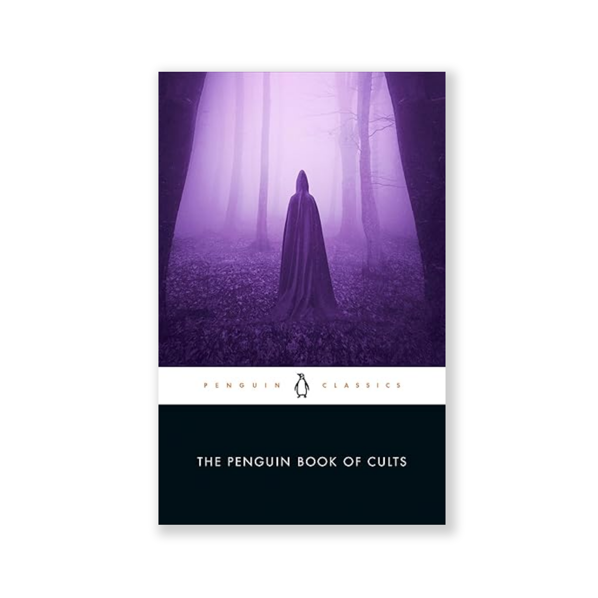 Paperback artwork