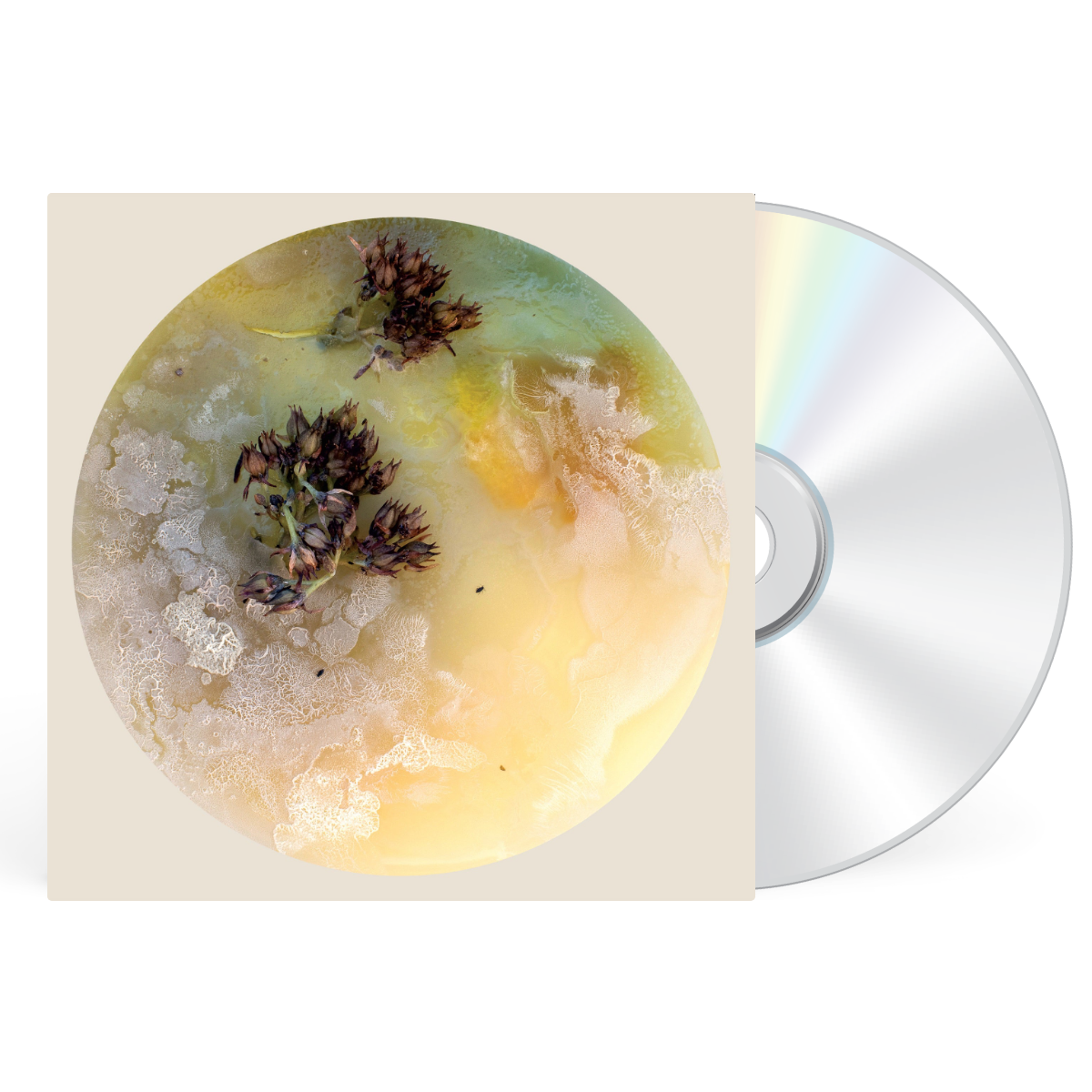 CD artwork