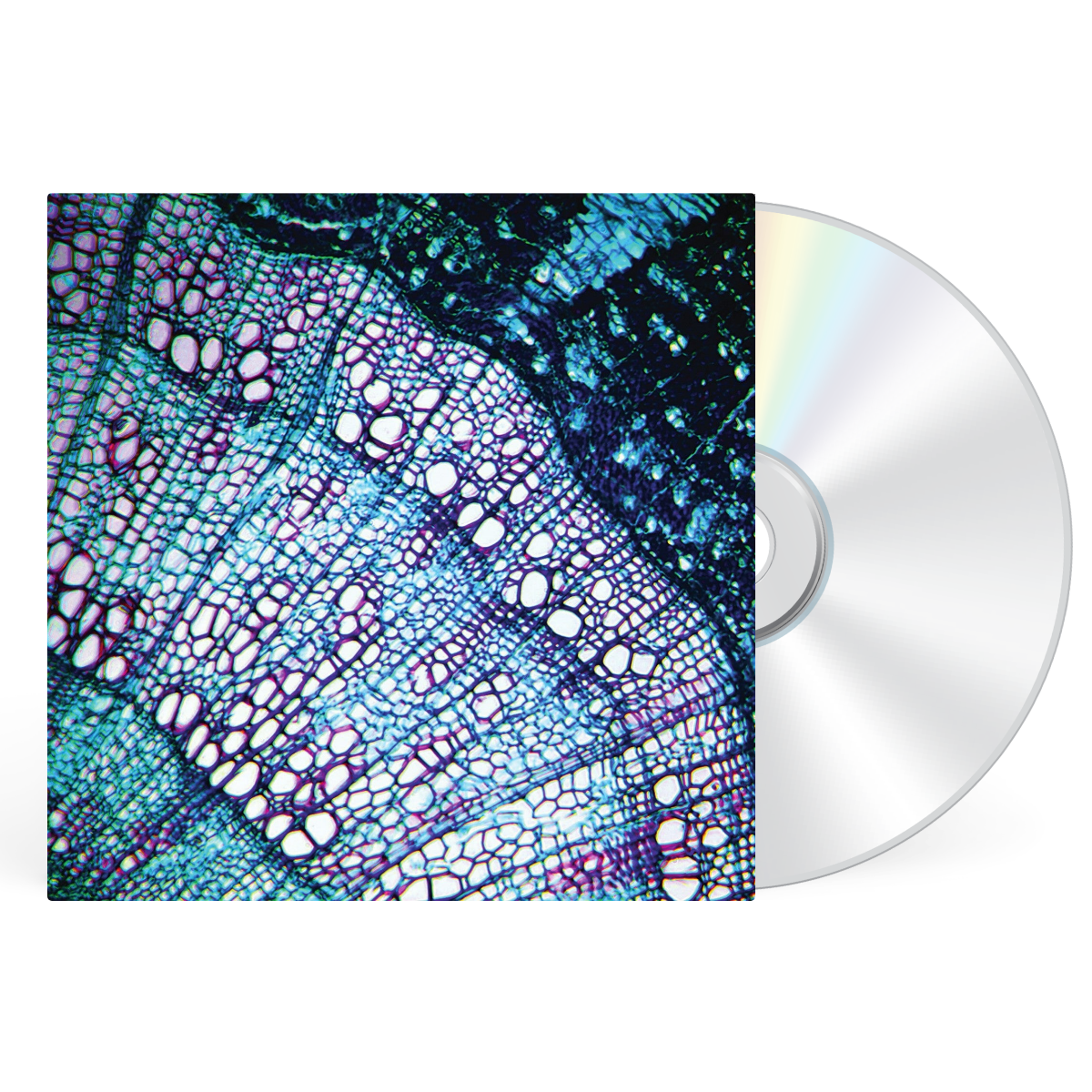 CD artwork