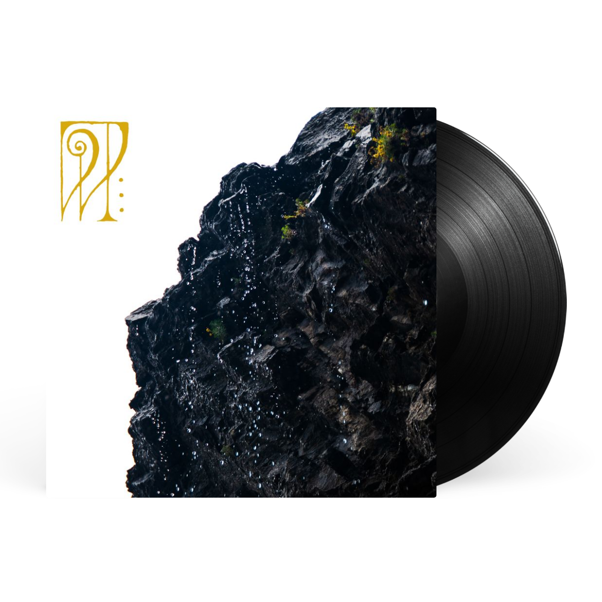 LP - Black artwork