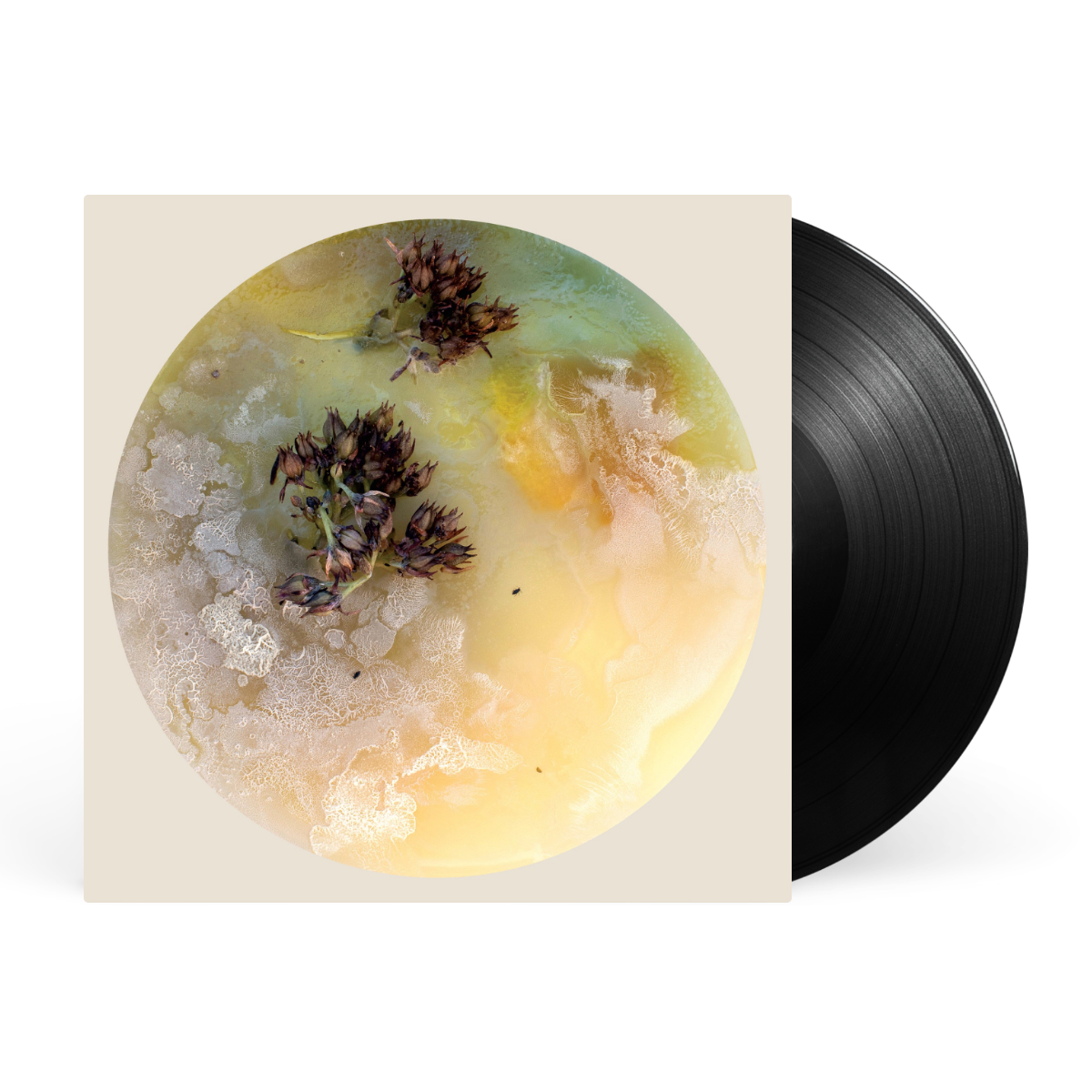 LP - Black artwork