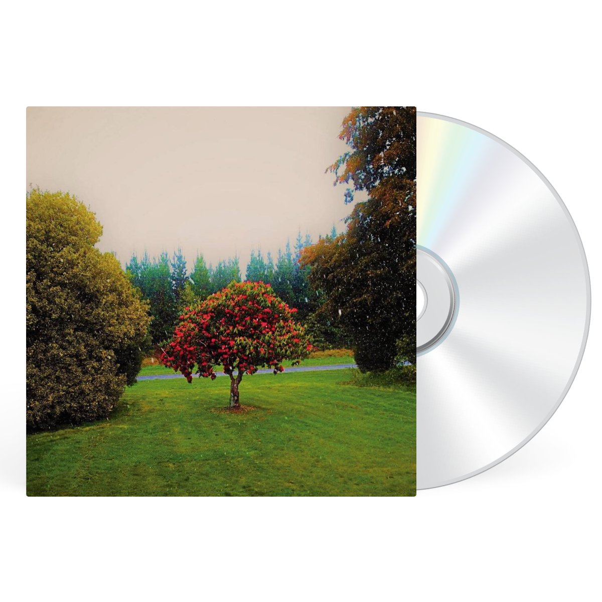 CD artwork