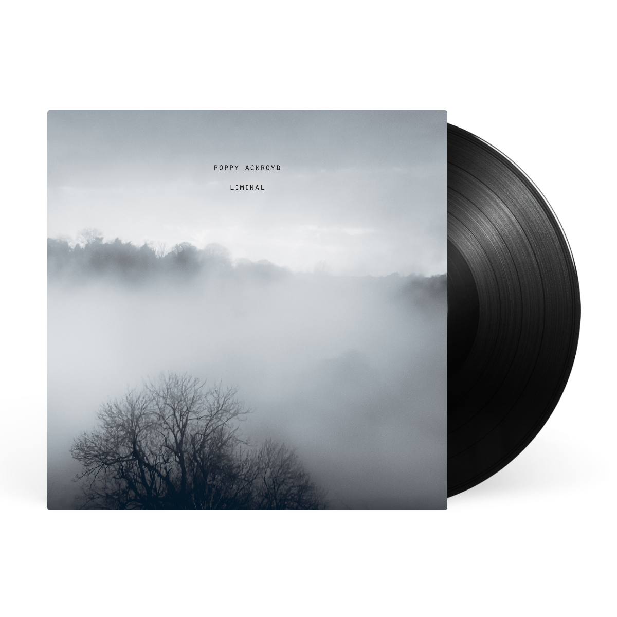 LP - Black artwork