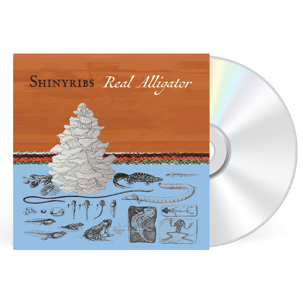 CD artwork