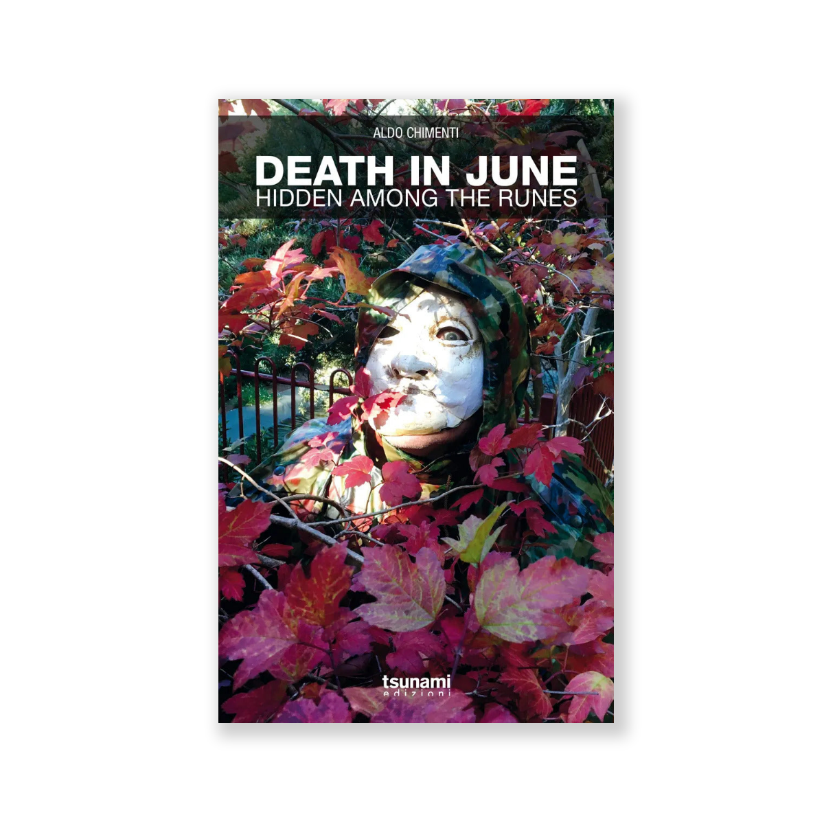 Book artwork