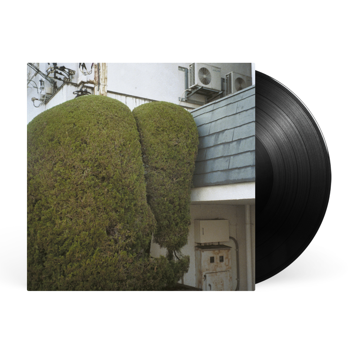 LP - Black artwork