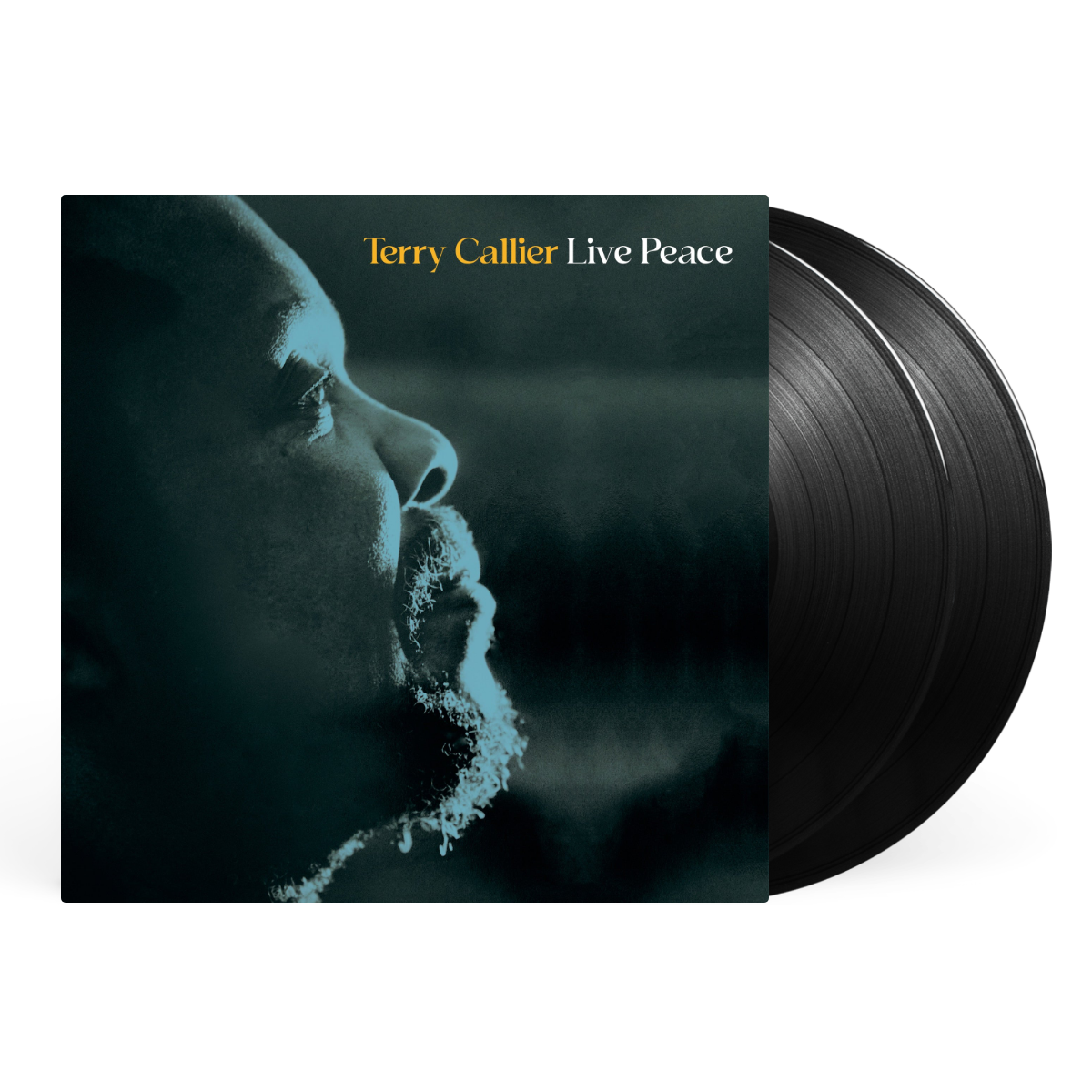 2LP - Black artwork