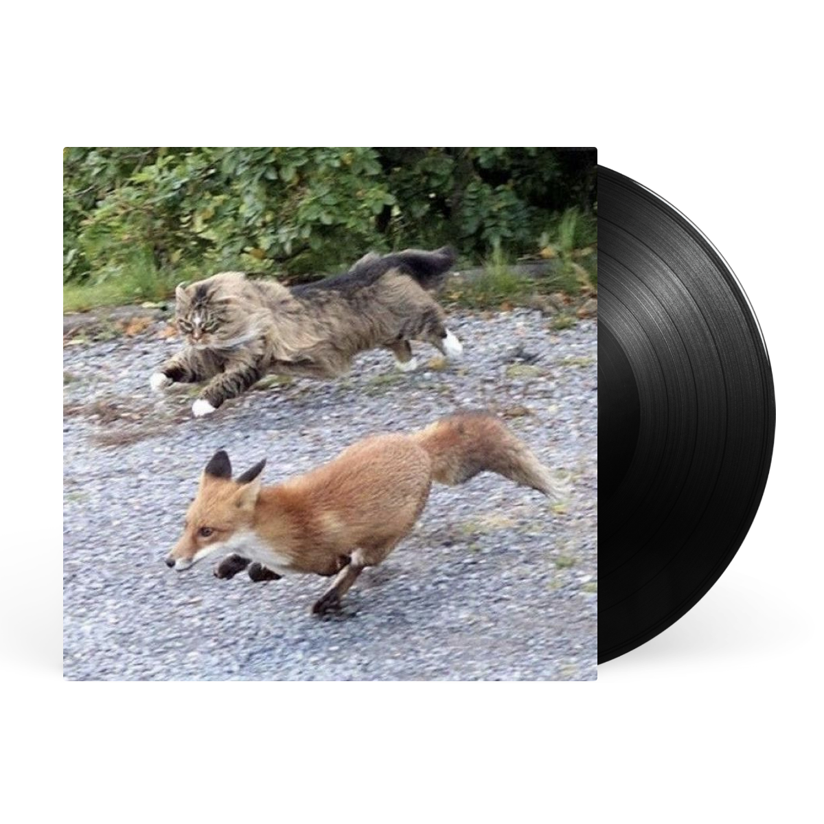 LP - Black artwork