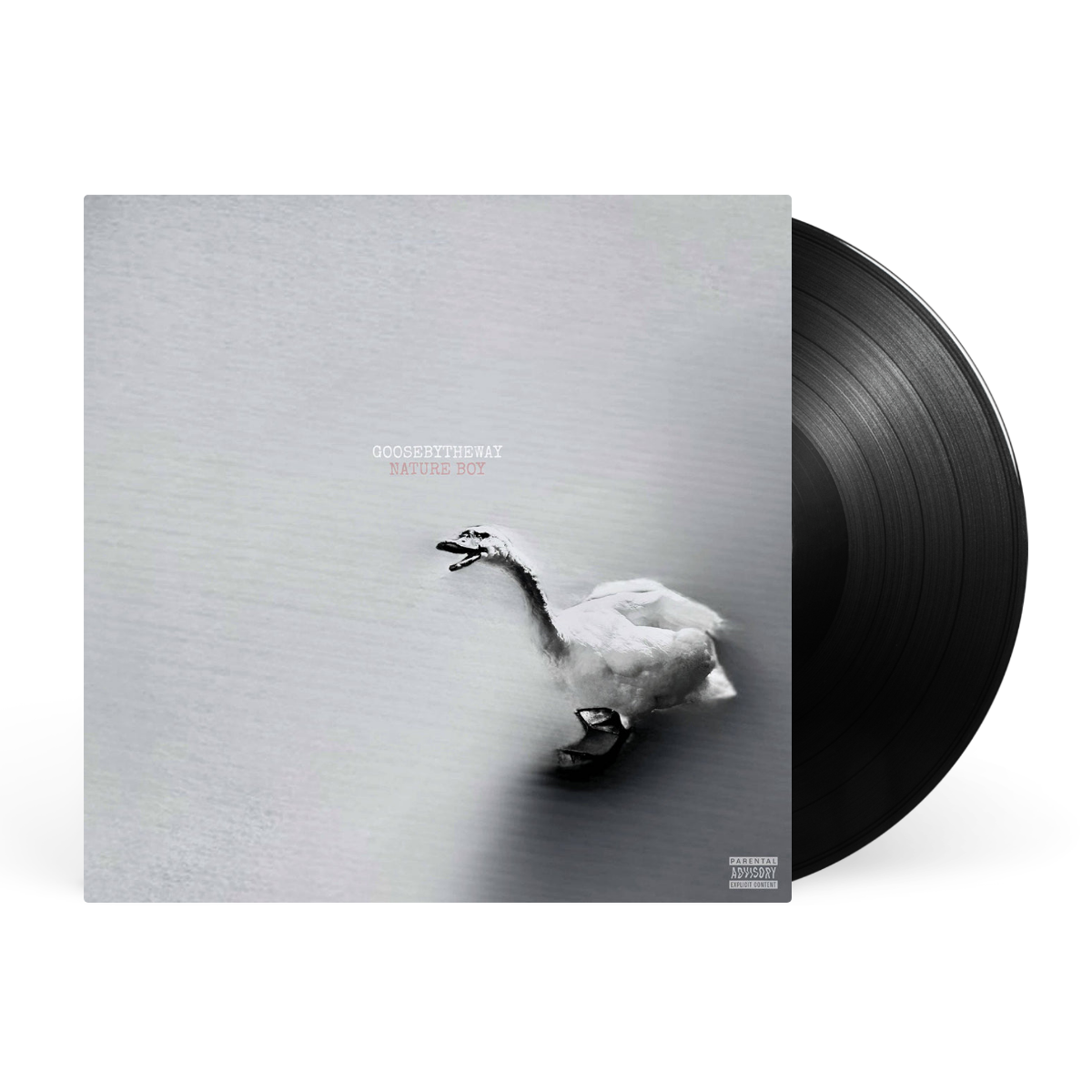 LP - Opaque White artwork