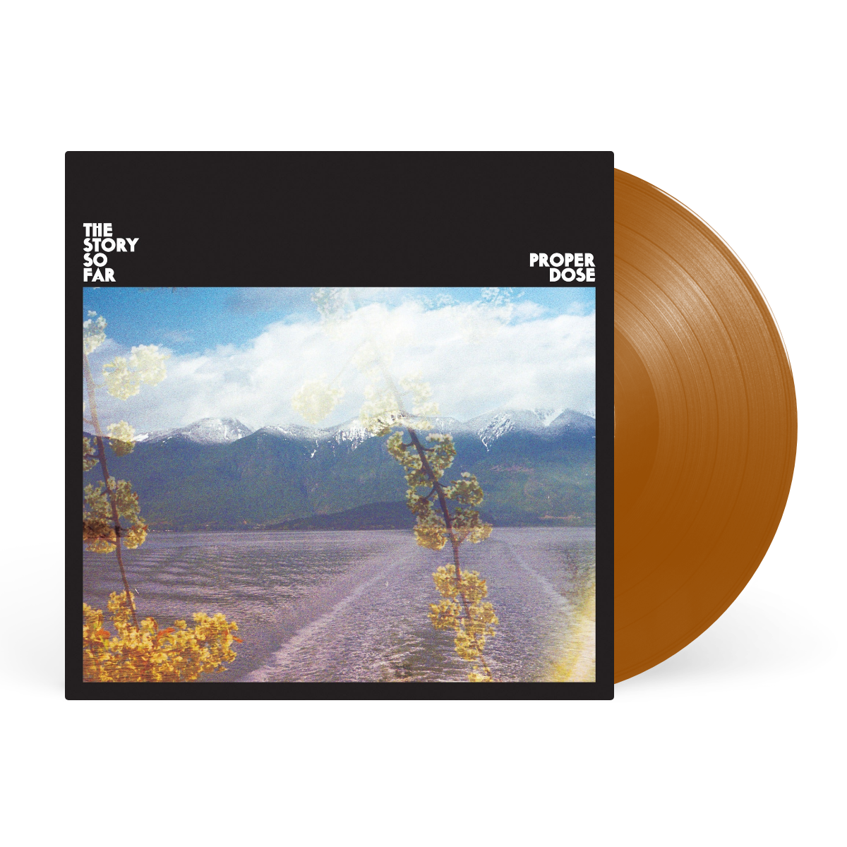 LP - Brown artwork
