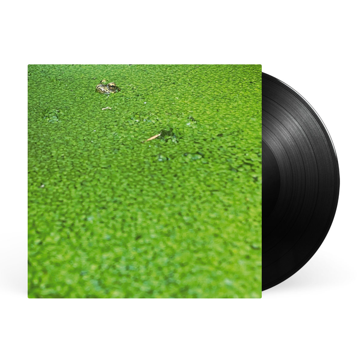 LP - Black artwork