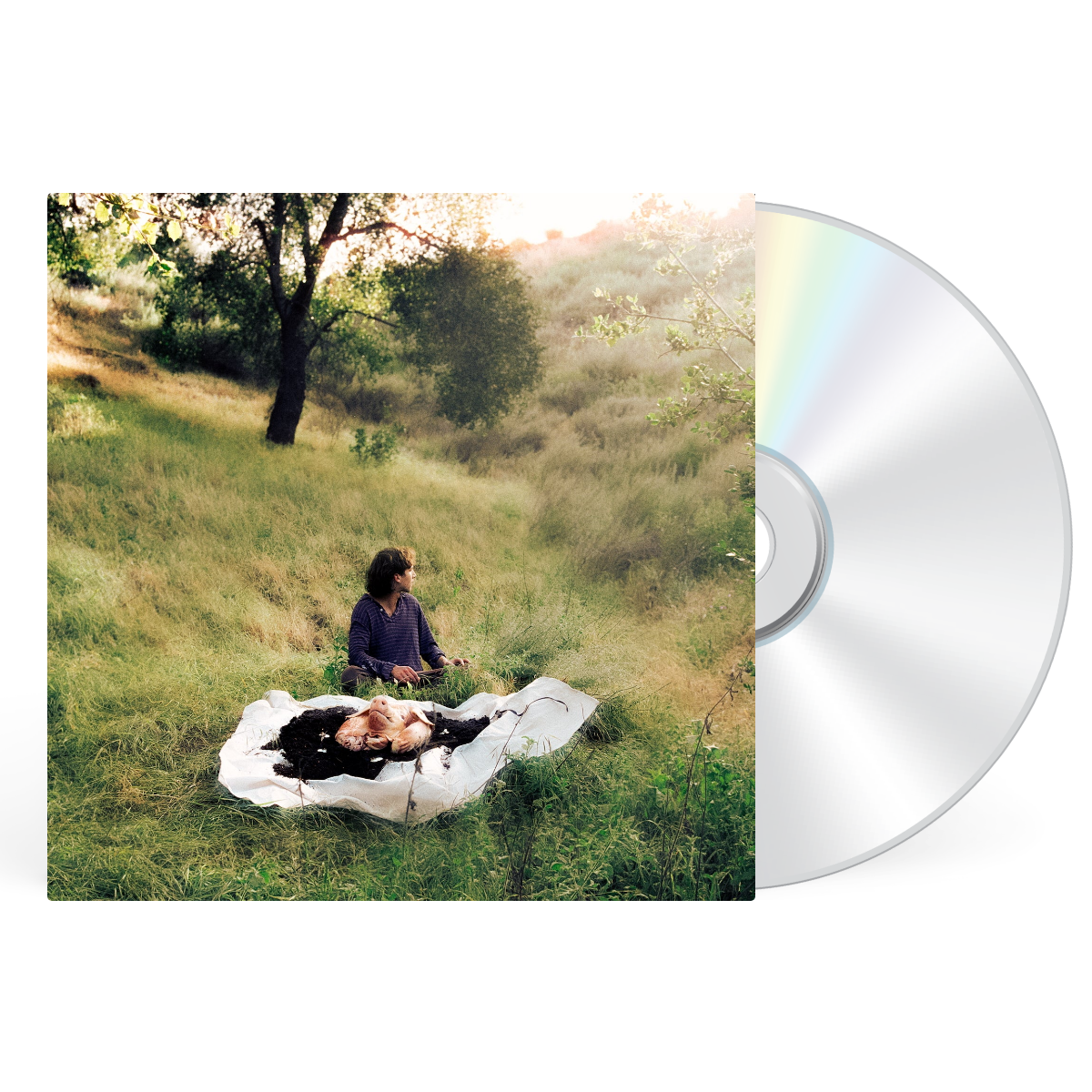 CD artwork
