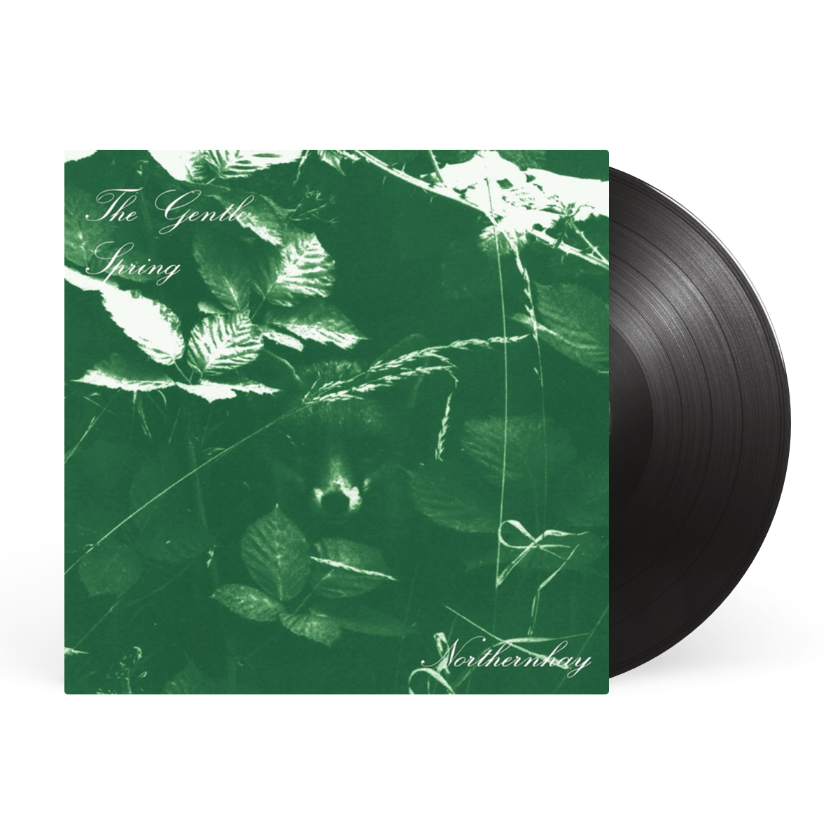 LP - Black artwork