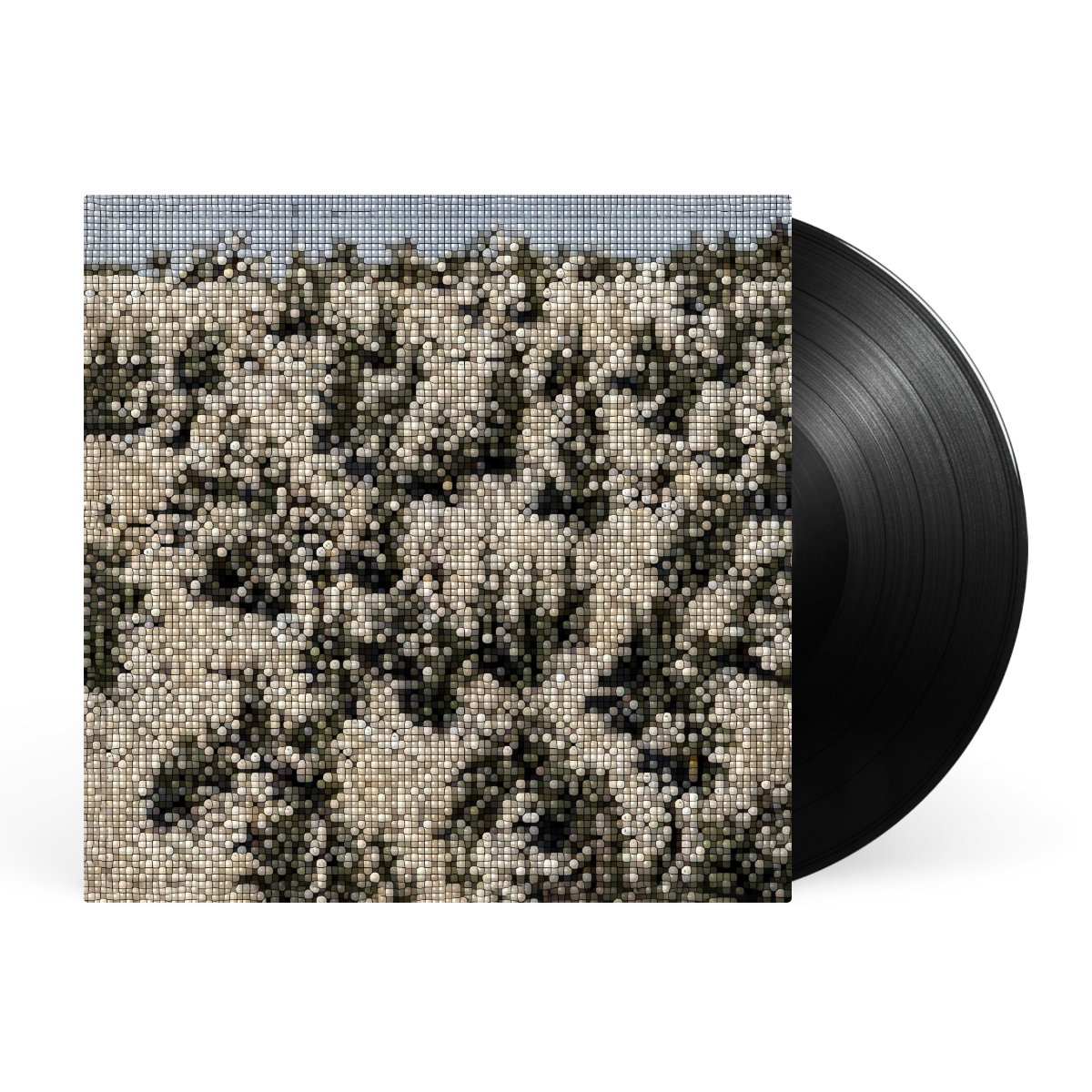 LP - Black artwork