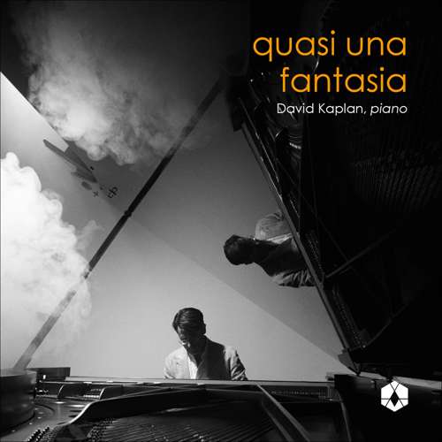 David Kaplan - Quasi una fantasia album cover