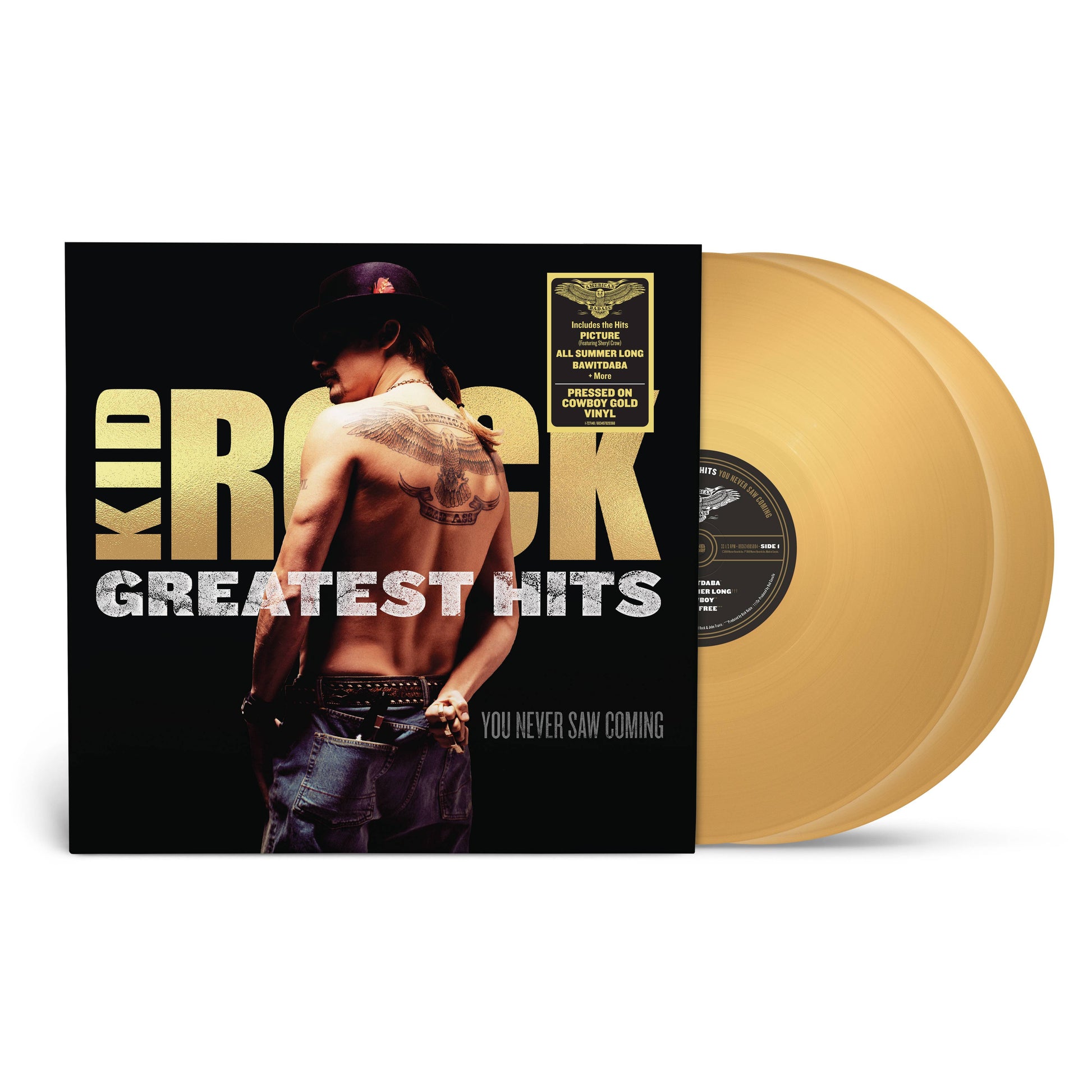kid_rock_greatest_hits_2LP.jpg