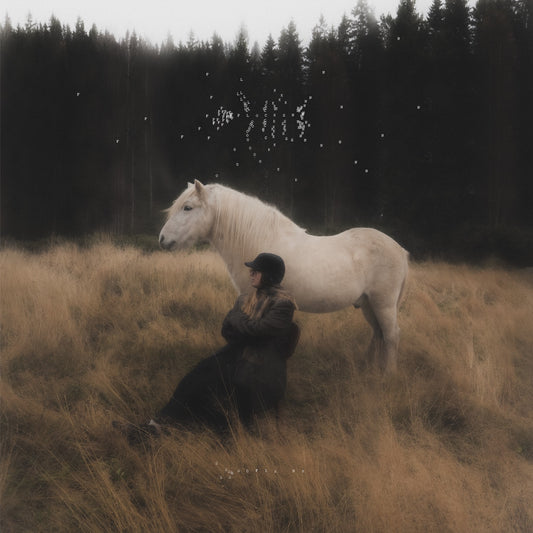 Sofia HK – Flocken album artwork
