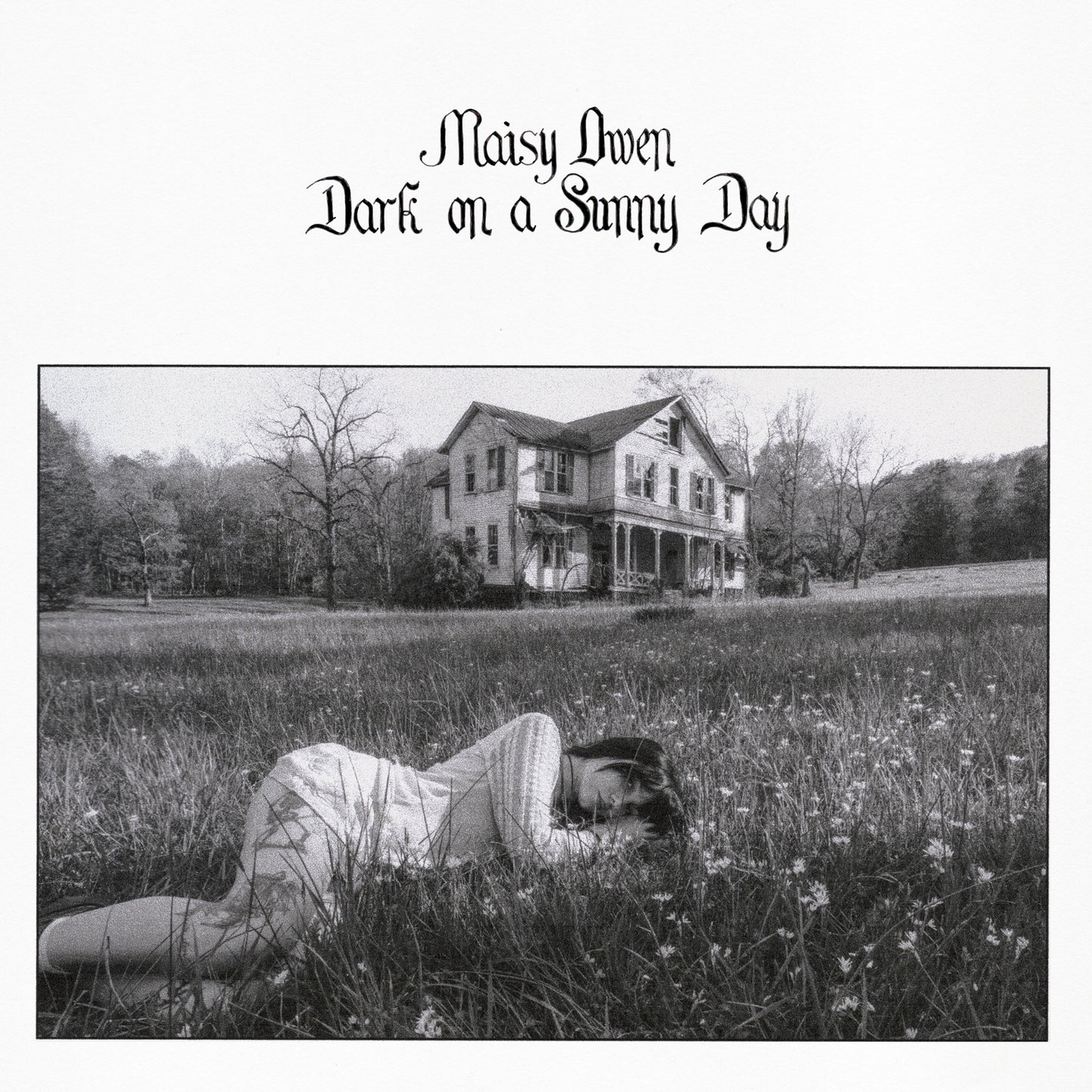 Dark on a Sunny Day