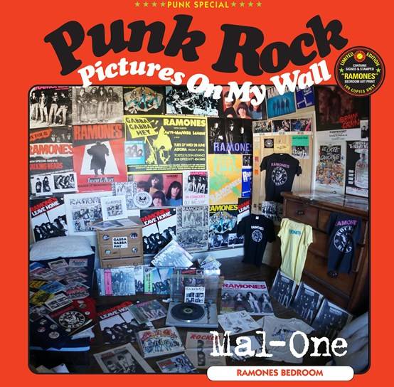 Punk Rock Pictures On My Wall