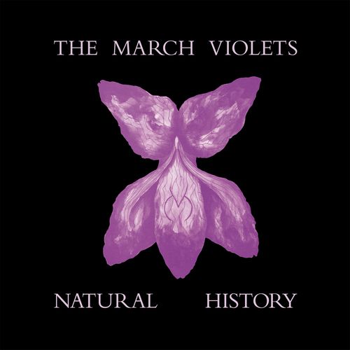 The March Violets - Natural History - RSD 2026 Product Image