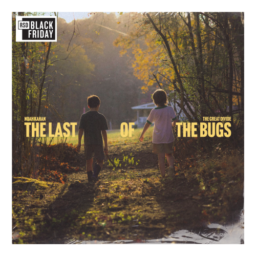 Noah Kahan - The Last of the Bugs cover