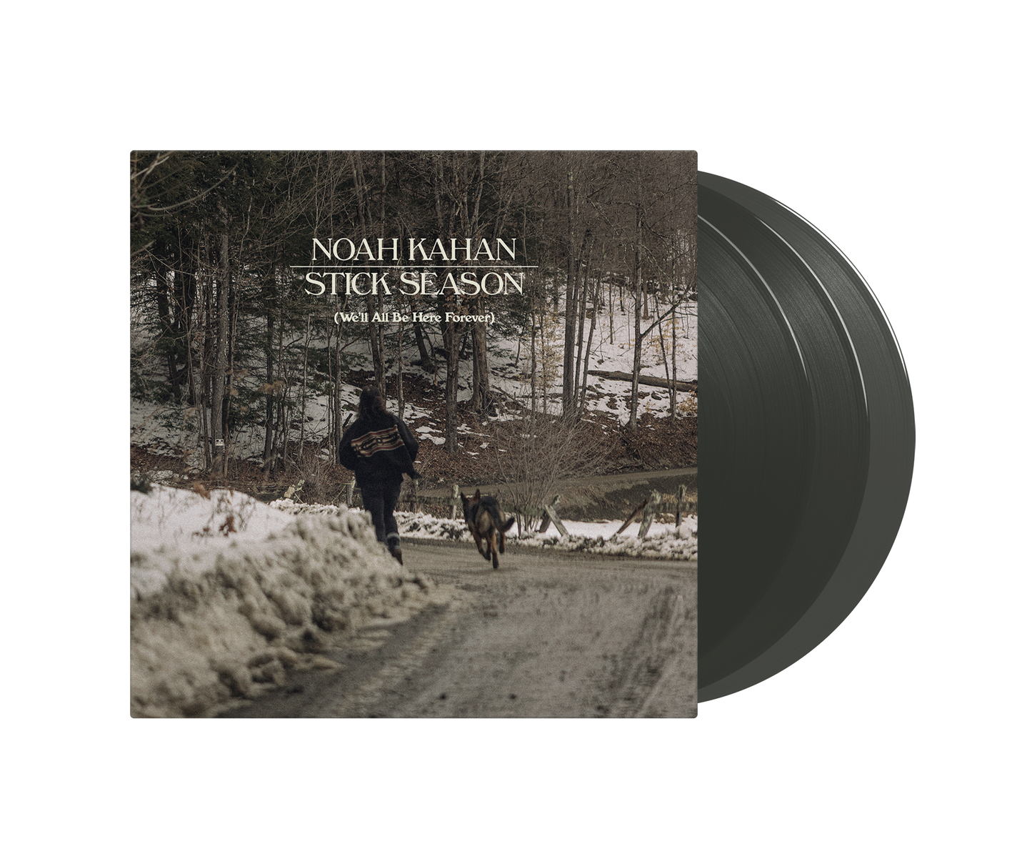 noah kahan stick season dlx back ice lp.png