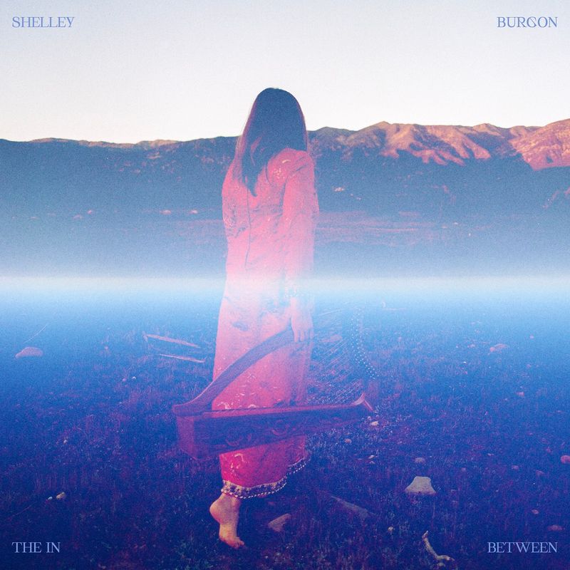 Shelley Burgon - The In Between Product Image