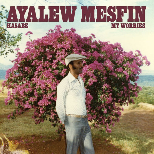 Ayalew Mesfin - Hasabe (My Worries) Product Image
