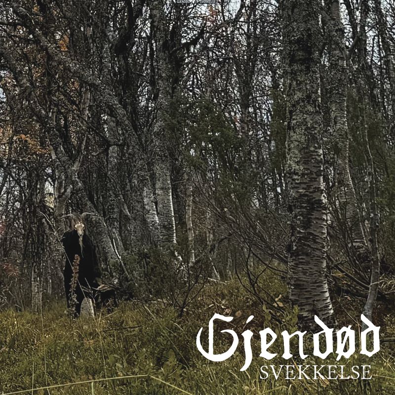 Gjendod - Svekkelse Product Image