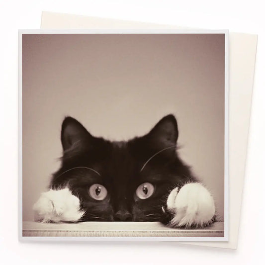 Paws
