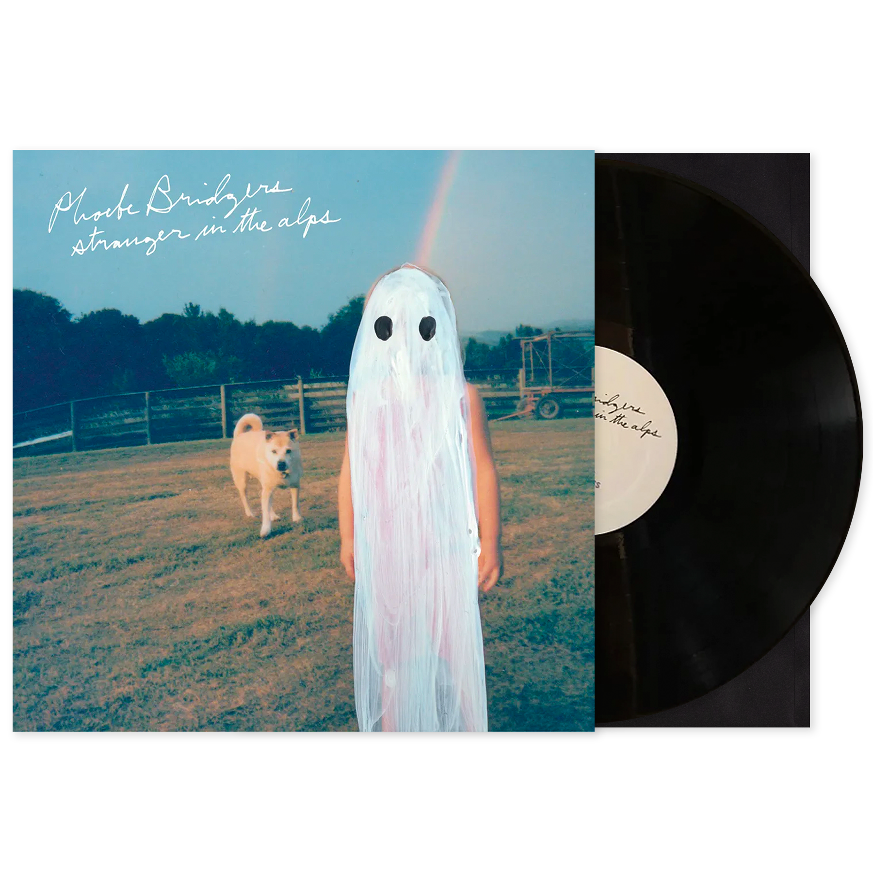 phoebe bridgers.png