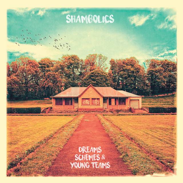 Dreams, Schemes and Young Teams