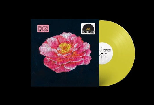 Post Malone - Post Malone Tribute to Nirvana Product Image