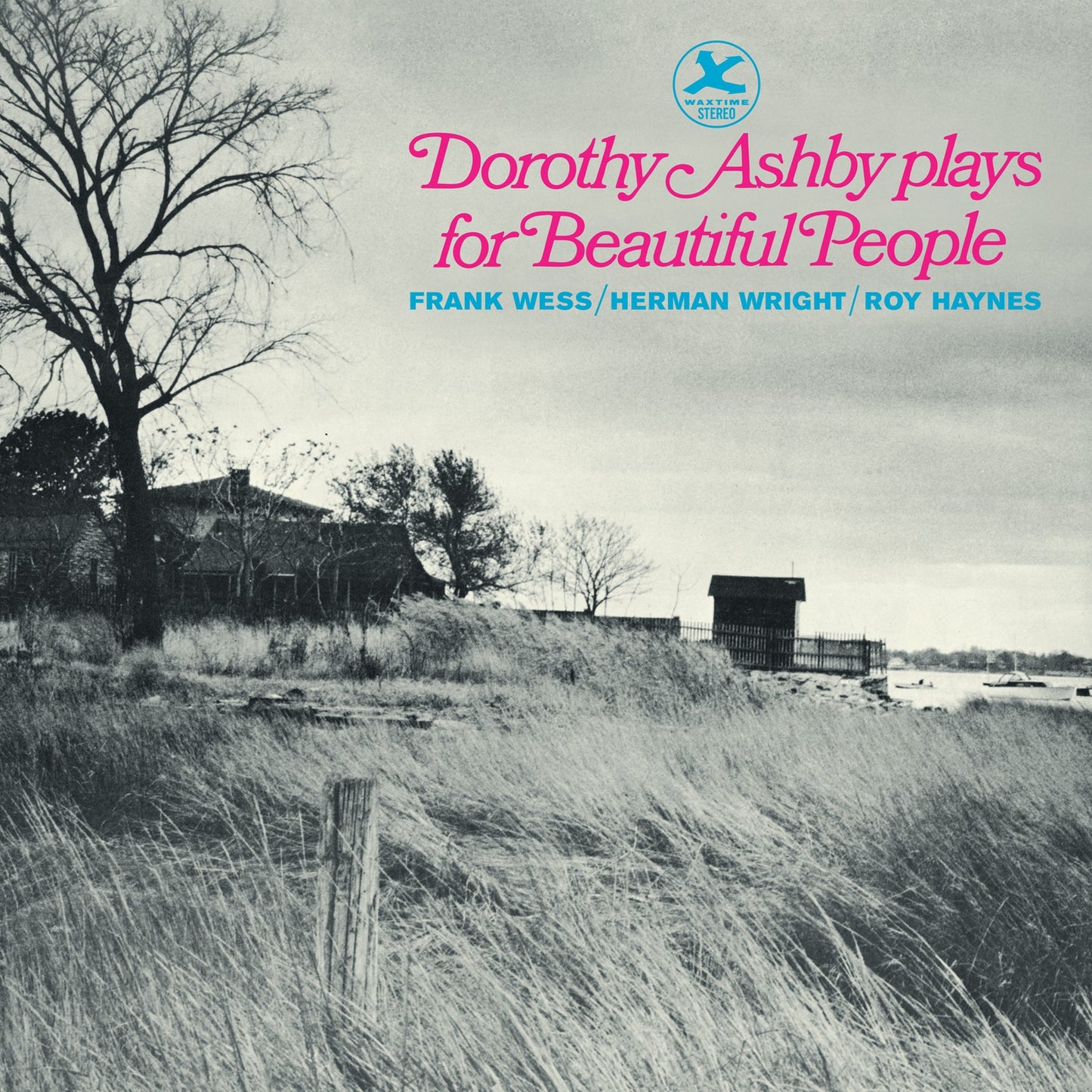 Dorothy Ashby Plays for Beautiful People