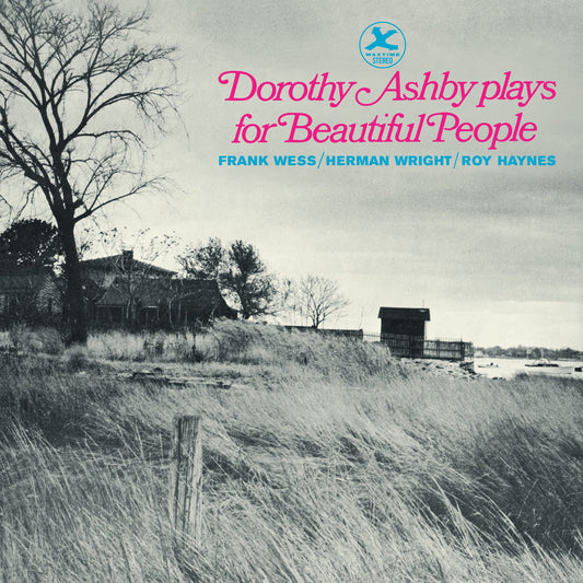 Dorothy Ashby Plays for Beautiful People