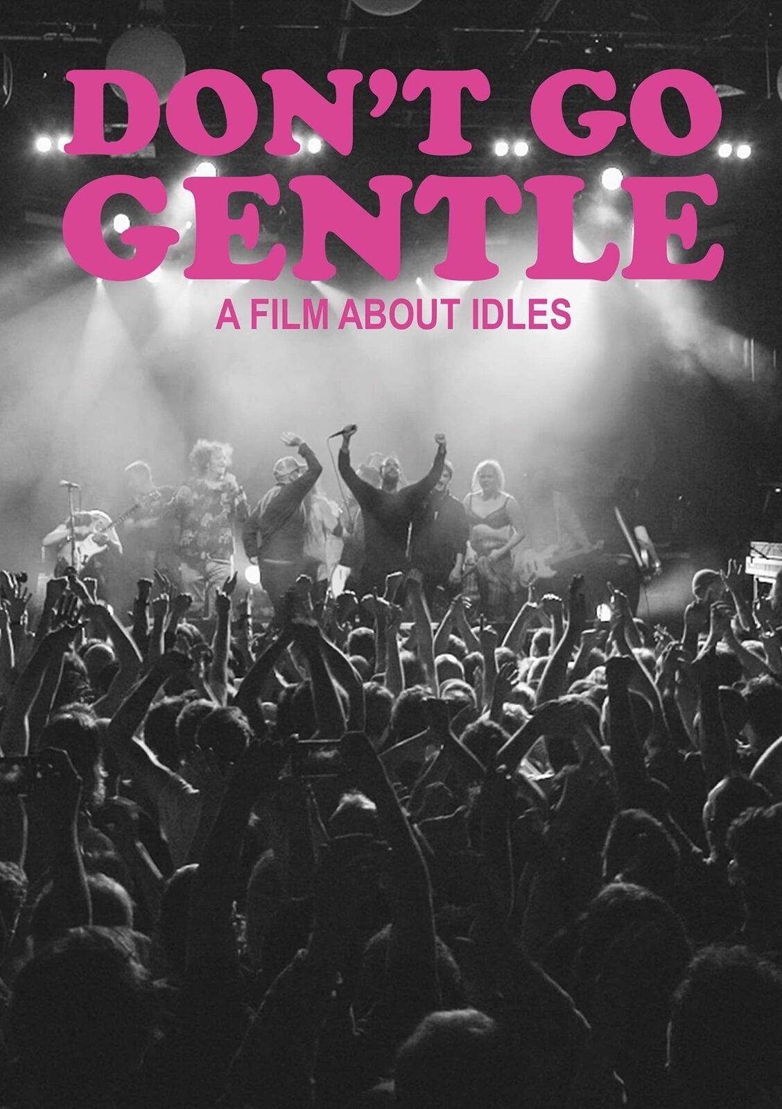 Don't Go Gentle: A Film About IDLES