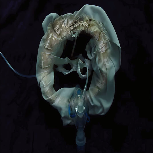 InitiatriX