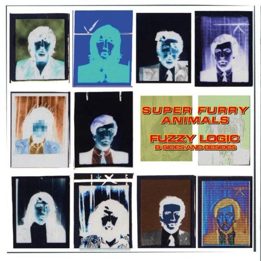 Fuzzy Logic (B-Sides and Besides) - RSD 2024