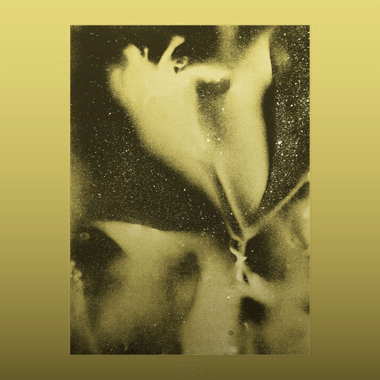 Flying Lotus - 1983 - RSD 2026 Product Image