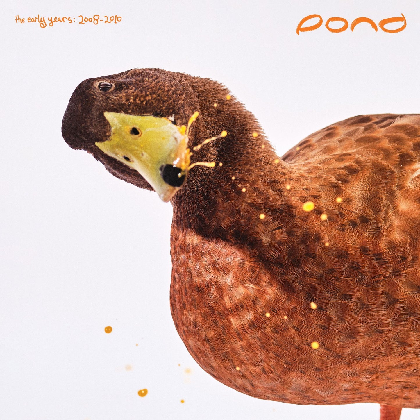 POND - The Early Years: 2008 – 2010 Product Image