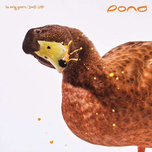 POND - The Early Years: 2008 – 2010 Product Image