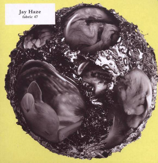 Various - Haze, Jay - Fabric 47