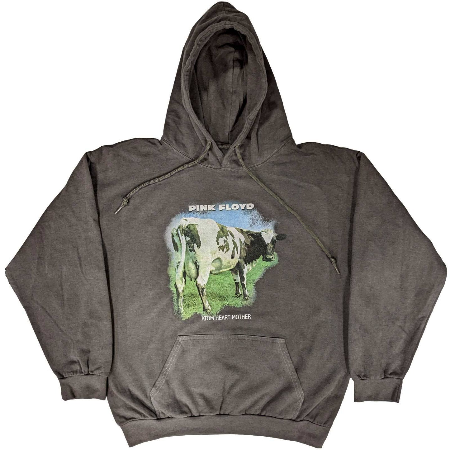 Unisex Pullover Hoodie Atom Heart Mother Fade