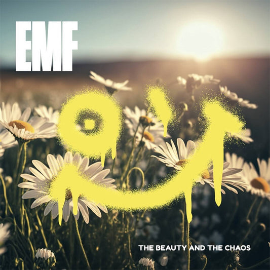 The Beauty and The Chaos