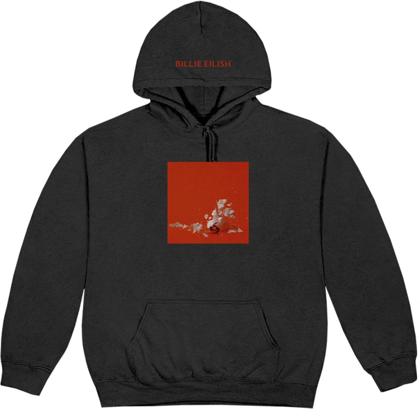 Unisex Pullover Hoodie Therefore I Am