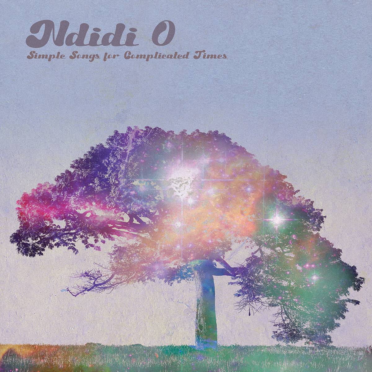 Simple Songs for Complicated Times