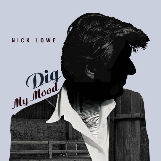 Dig My Mood - 25th Anniversary