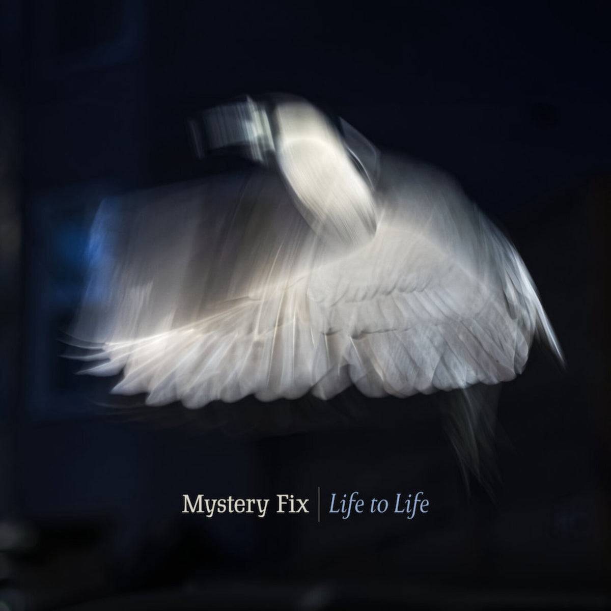 Life To Life