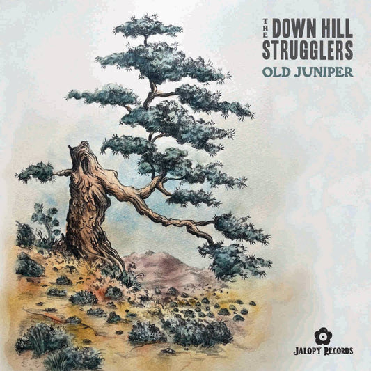 Old Juniper